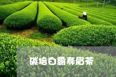 碳培白露寿眉茶/2023112579483