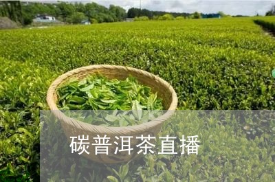 碳普洱茶直播/2023102536259