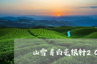 磻山雪芽白毫银针2015价格/2023062882795