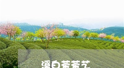 磻溪白茶茶艺/2023052073937