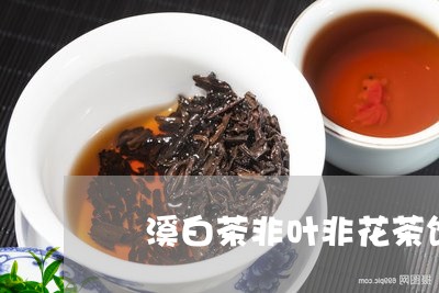 磻溪白茶非叶非花茶饼/2023100737170