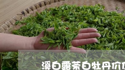 磻溪白露茶白牡丹价位/2023120972714