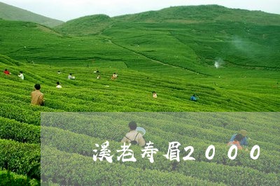 磻溪老寿眉2000/2023120402693