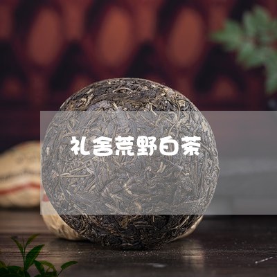 礼舍荒野白茶/2023111507471