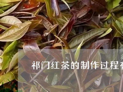 祁门红茶的制作过程有/2023060869572