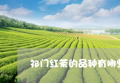 祁门红茶的品种有哪些/2023071572682