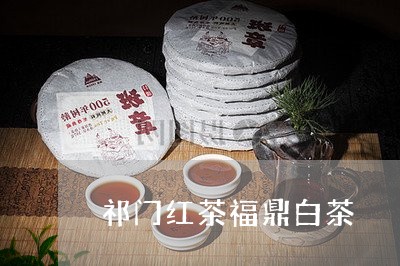 祁门红茶福鼎白茶/2023112682603