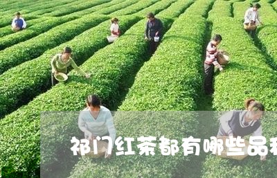 祁门红茶都有哪些品种/2023060959495