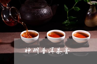 神州普洱茶膏/2023091354071