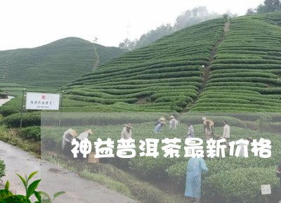 神益普洱茶最新价格/2023071017692