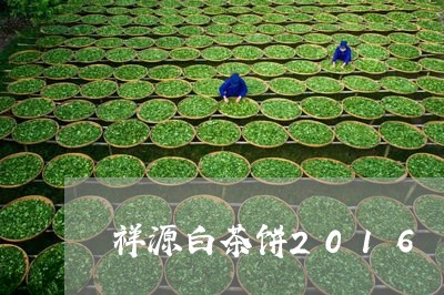 祥源白茶饼2016/2023071339471