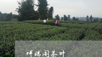 祥瑞阁茶叶/2023041760782