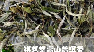 祺茗堂高山普洱茶/2023120410371