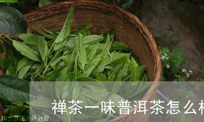 禅茶一味普洱茶怎么样/2023061985027