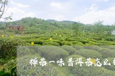 禅茶一味普洱茶怎么样/2023093069403