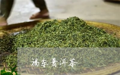 福东普洱茶/2023090670504