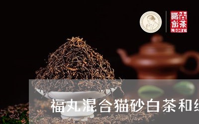 福丸混合猫砂白茶和绿茶/2023110234057