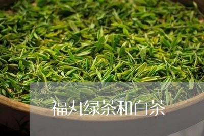 福丸绿茶和白茶/2023063059604