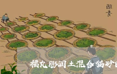 福丸膨润土混合猫砂白茶味/2023042613703