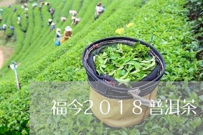 福今2018普洱茶/2023091451935