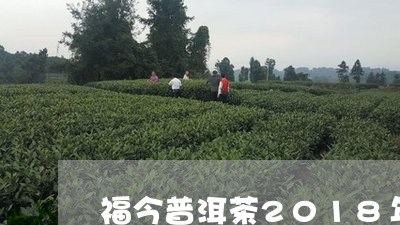 福今普洱茶2018年/2023080238140