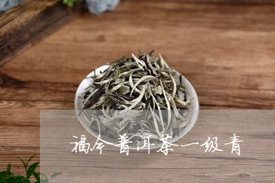 福今普洱茶一级青/2023081624048