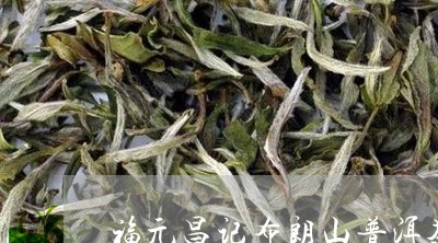 福元昌记布朗山普洱茶/2023112707294