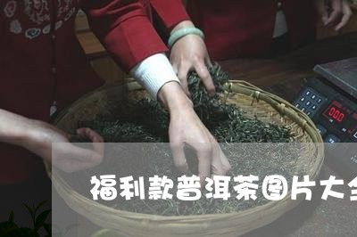 福利款普洱茶图片大全高清/2023112580705