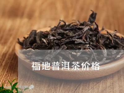 福地普洱茶价格/2023121859583