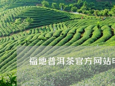 福地普洱茶官方网站电话/2023102455737