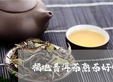 福地普洱茶熟茶好喝吗/2023120707068