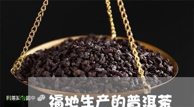 福地生产的普洱茶/2023121802725