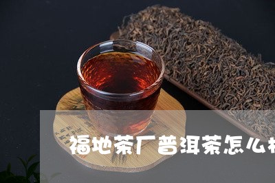 福地茶厂普洱茶怎么样/2023092932816