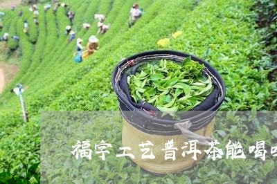 福字工艺普洱茶能喝吗/2023093001037