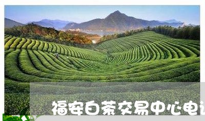 福安白茶交易中心电话地址/2023042663819