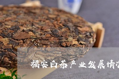 福安白茶产业发展情况汇报/2023110967381