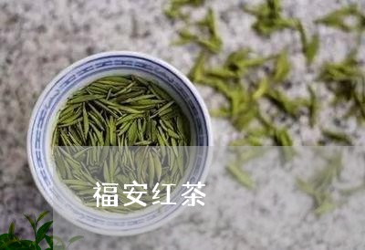 福安红茶/2023090120723