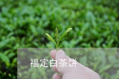 福定白茶饼/2023051086282