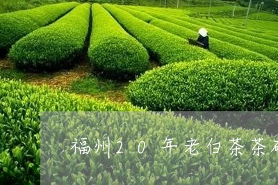 福州20年老白茶茶砖/2023092747268