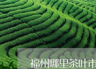 福州哪里茶叶市场有卖白茶/2023110990514