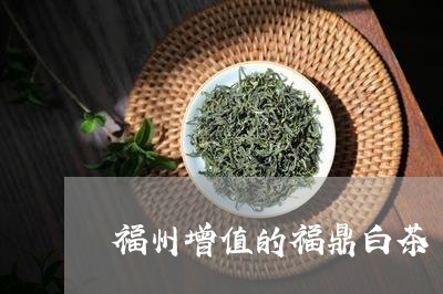 福州增值的福鼎白茶/2023120300404