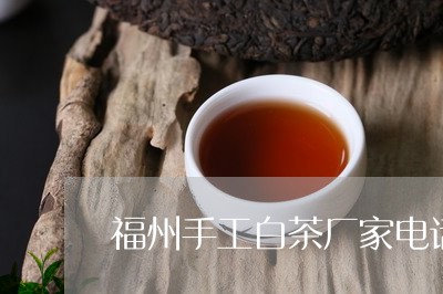 福州手工白茶厂家电话地址/2023042603948