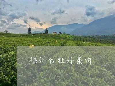 福州白牡丹茶饼/2023112346159