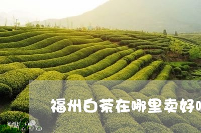 福州白茶在哪里卖好呢/2023110913805