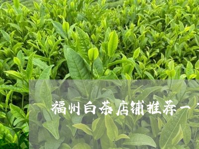 福州白茶店铺推荐一下/2023042622512