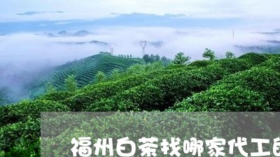 福州白茶找哪家代工的比较好/2023111450717