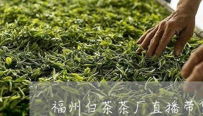 福州白茶茶厂直播带货视频/2023110939805