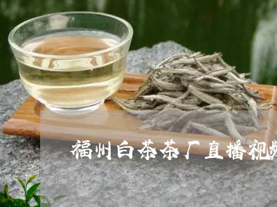 福州白茶茶厂直播视频回放/2023110996957