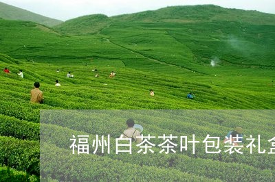 福州白茶茶叶包装礼盒批发/2023041736049