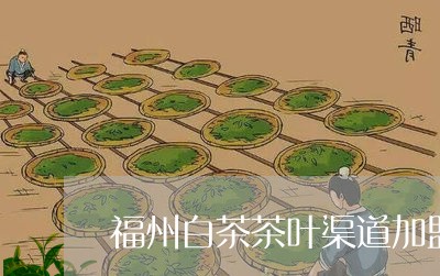 福州白茶茶叶渠道加盟代理/2023110957381